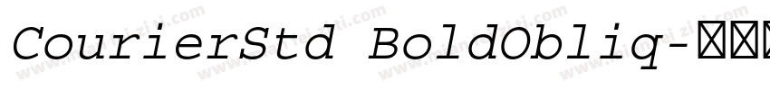 CourierStd BoldObliq字体转换